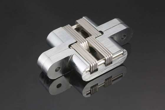 Galvanisierte versteckte Hochleistungstür lagert Vielzweckrostschutzmittel schwenkbar